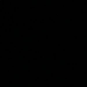 Meet your Posher, Arlyne